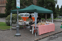 DDV_8871