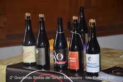2014 - Granfondo del Tartufo Mantovano