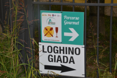 2015 - Granfondo del Tartufo Mantovano