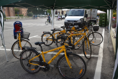 2015 - Granfondo del Tartufo Mantovano
