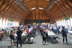 2015 - Granfondo del Tartufo Mantovano
