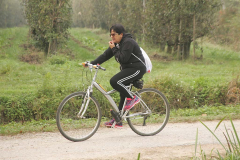 LO1C0429
